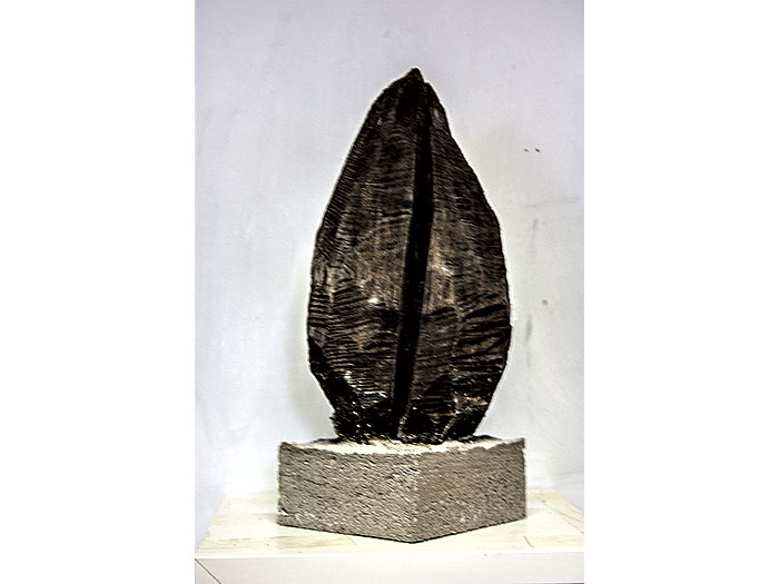 Pinie, Holz & Beton, ca. 40 cm, 1992